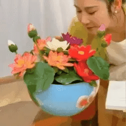🌳 SEMILLAS DE FLOR DE LOTO + GUIA PASO A PASO PARA CULTIVAR